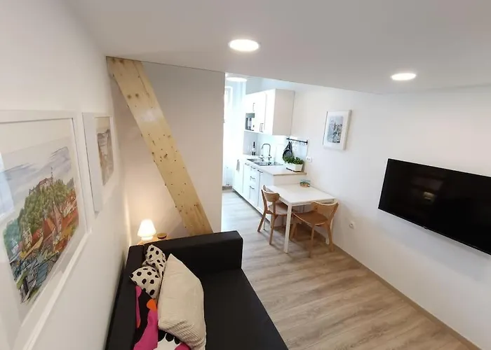 One-Bedroom City Apartment