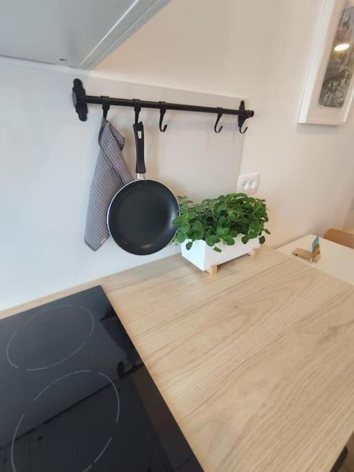 One-bedroom Apartma